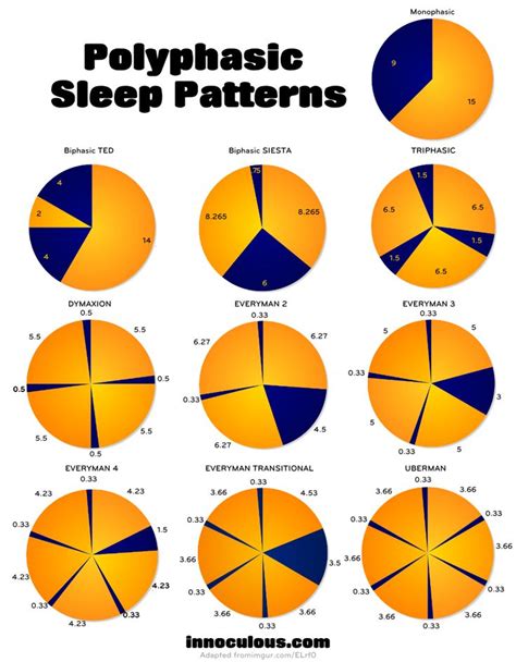 Polyphasic sleep calculator While humans are diurnal and sleep ∼8 h per night in a monophasic pattern, rodents are nocturnal mammals that exhibit polyphasic sleep patterns